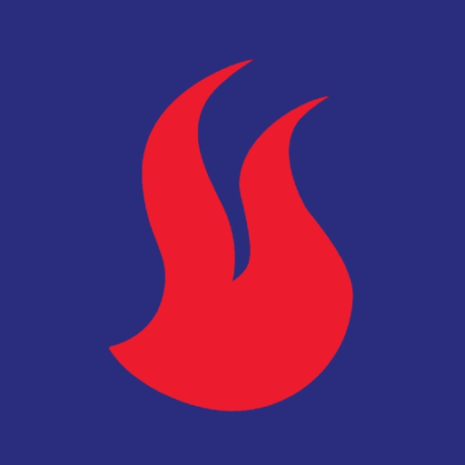 NBS Bank PLC logo